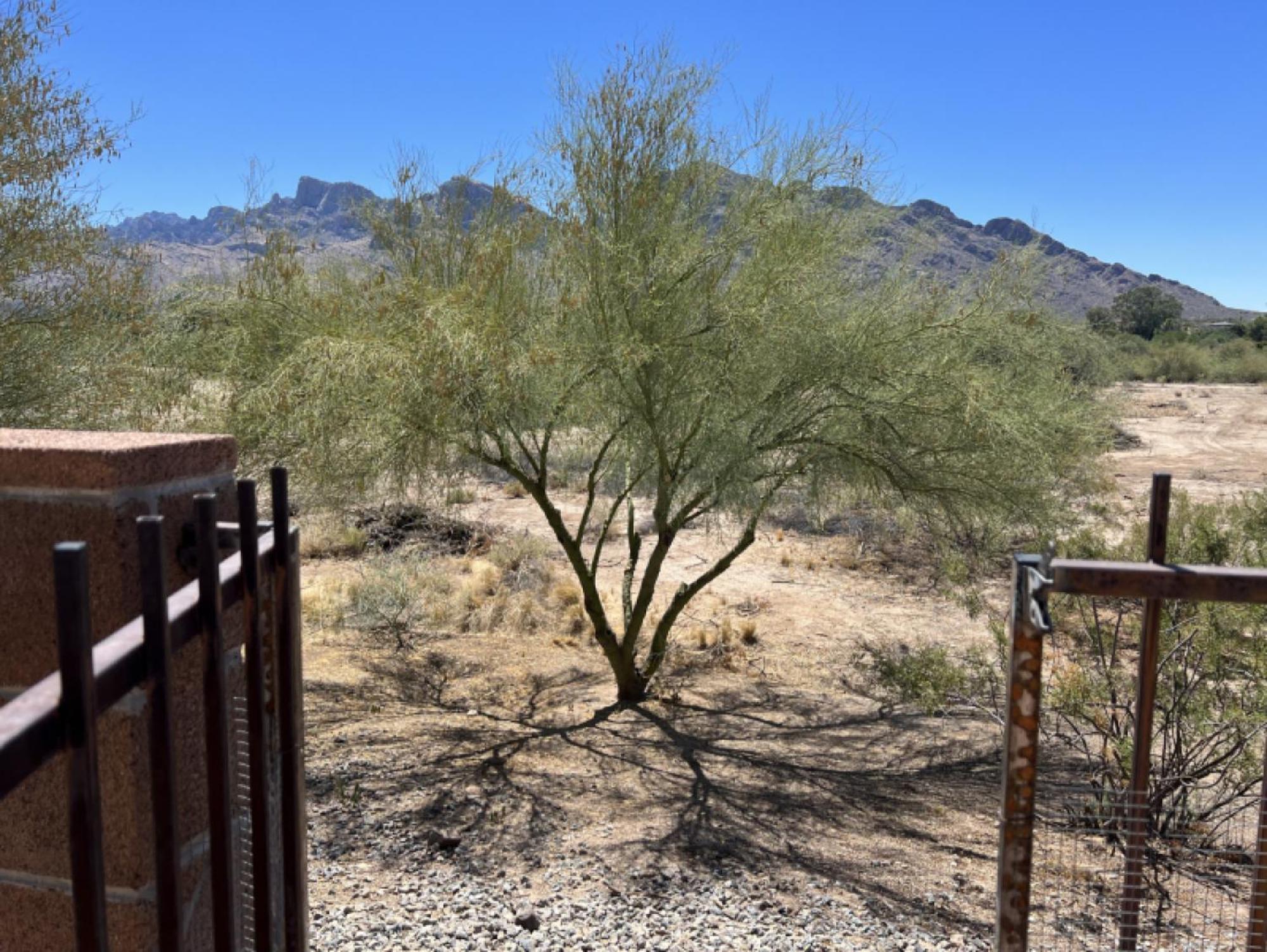 Private Home - Billiards, Mountain Views, Private Desert Access, Hoa Pool & Spa, Bbq, At Lambert Park - Bourbondale Tucson Eksteriør billede